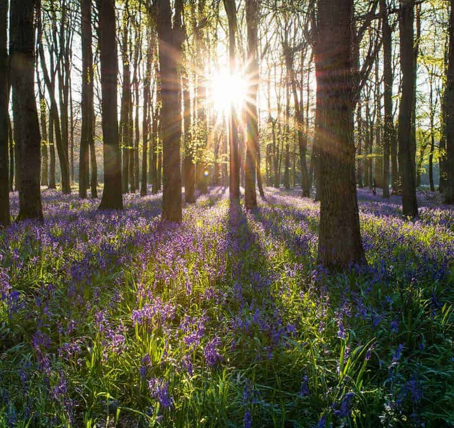 We are an Environmentally Aware company